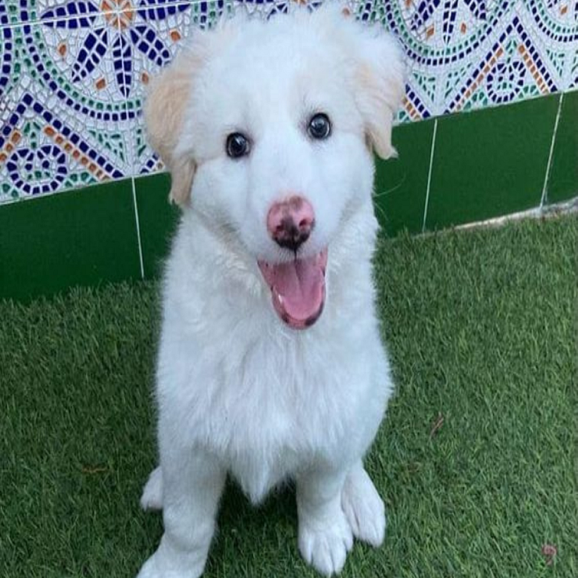 Se solicitan humanos. 2