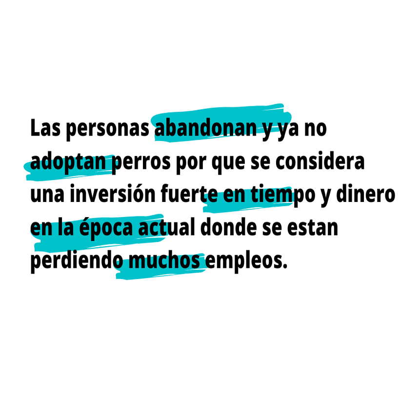 Se solicitan humanos. 5