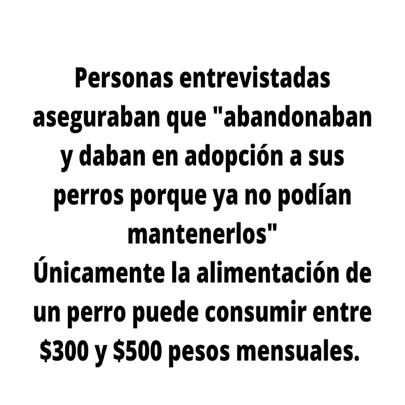 Se solicitan humanos. 6