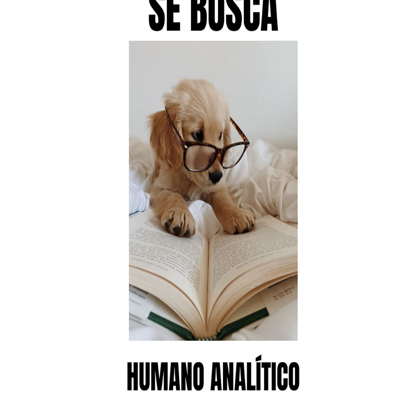 Se solicitan humanos. 9