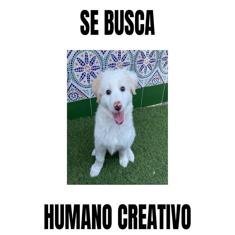 Se solicitan humanos. 11