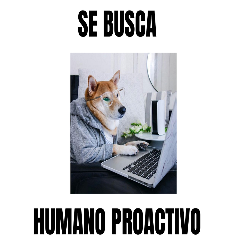 Se solicitan humanos. 12