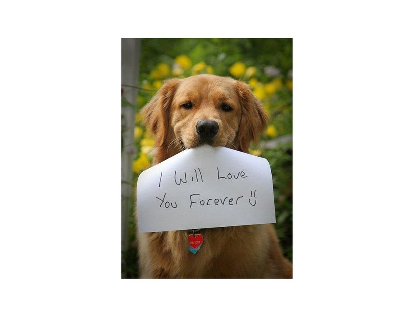 Se solicitan humanos. 17