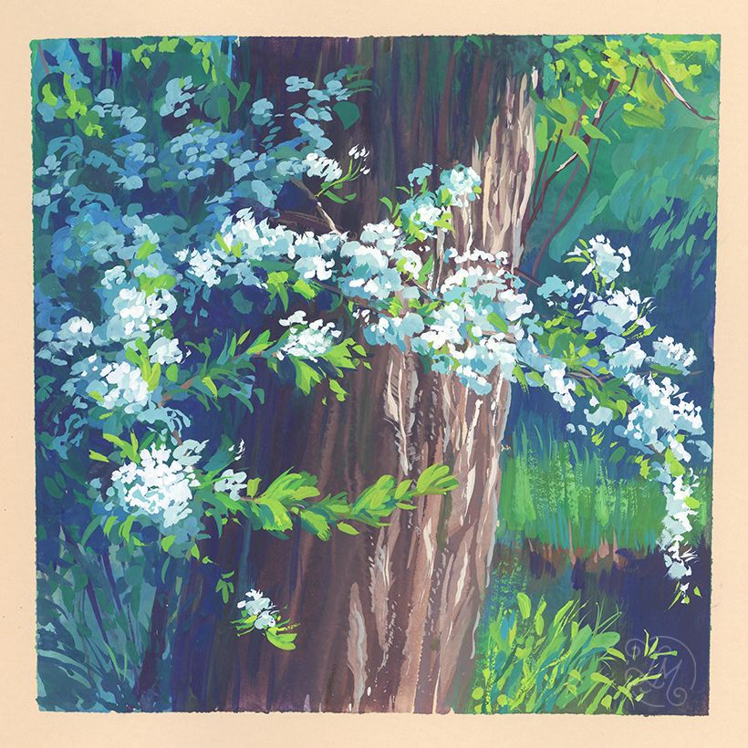 Guaj Boyalı Doğa Eskiz Defteri 6