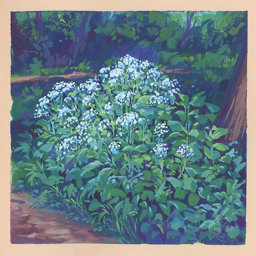 Guaj Boyalı Doğa Eskiz Defteri 7