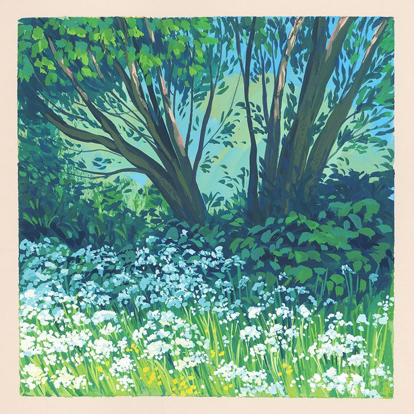 Guaj Boyalı Doğa Eskiz Defteri 11