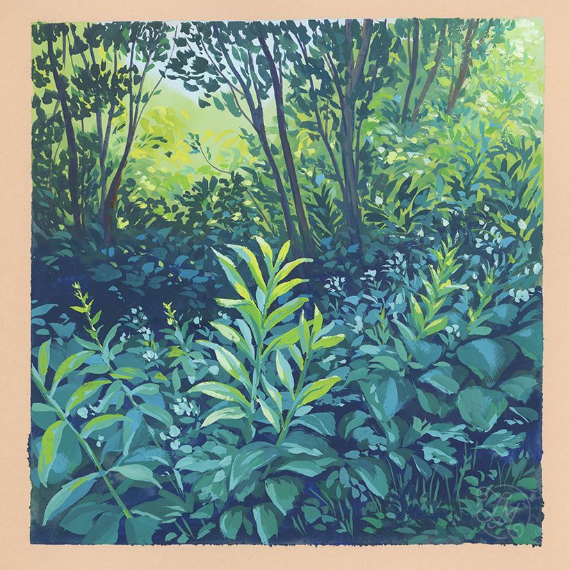 Guaj Boyalı Doğa Eskiz Defteri 13