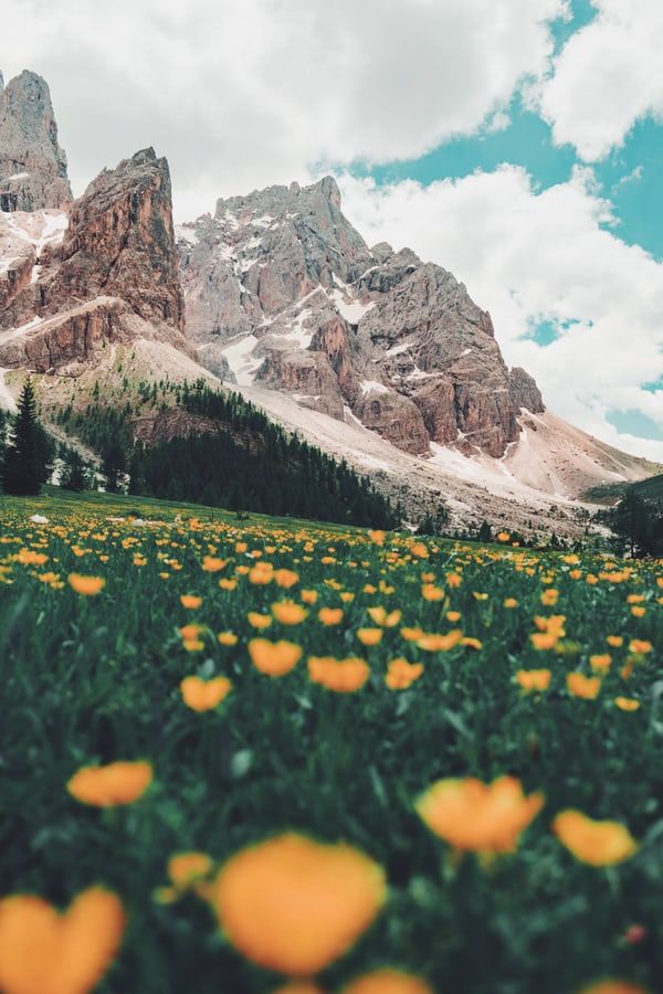 Image By: Damiano Baschiera - Unsplash