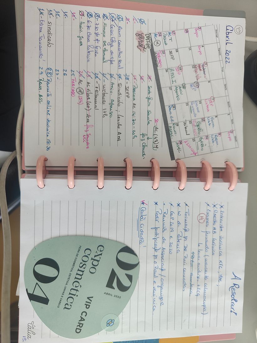 Meu projeto do curso: Bullet journal criativo: planejamento e criatividade  4