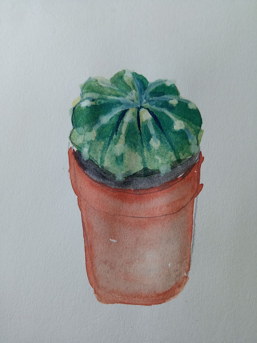 Cactus
