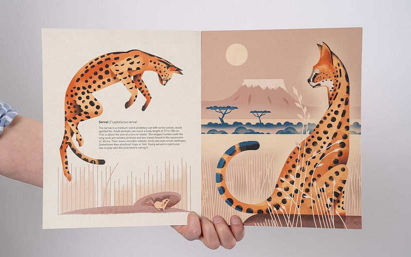 A finished picture book spread which uses textures to augment the vector shapes of this serval cat.