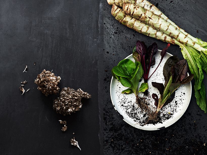 Food Portfolio 11