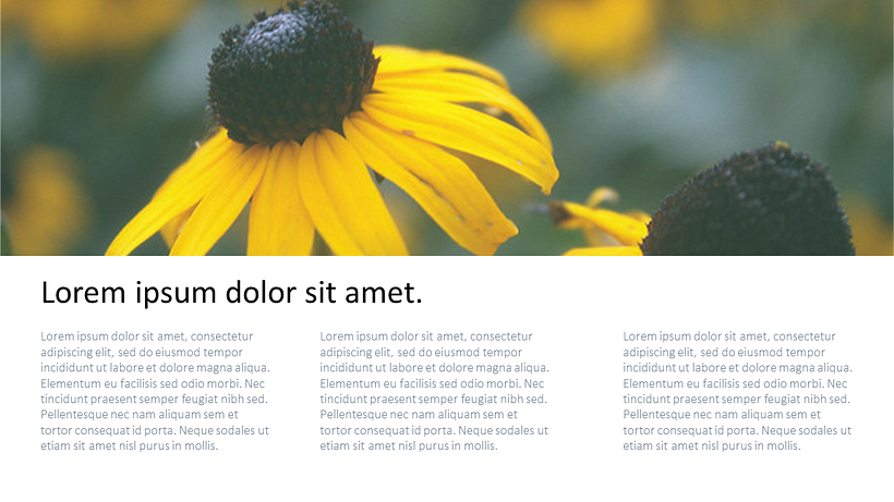 My project for course: Presentation Design: Create a Professional Template 4