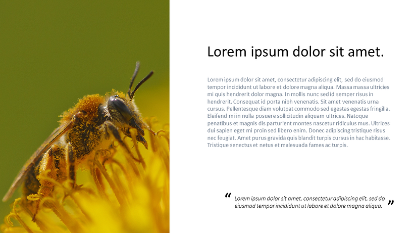 My project for course: Presentation Design: Create a Professional Template 5