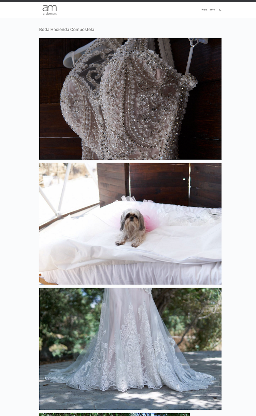 Mi Proyecto del curso: WordPress: crea una web profesional desde cero 2