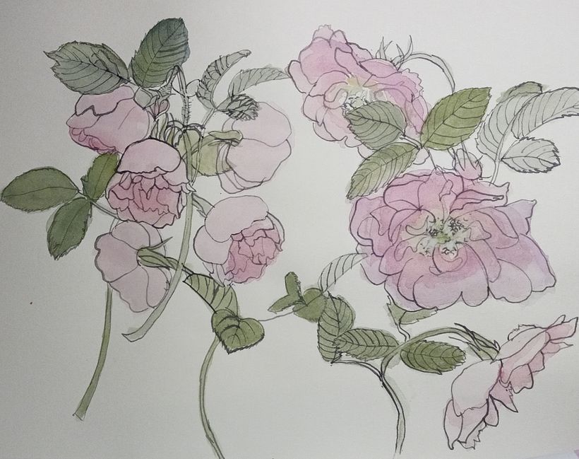 Composition turning same flower