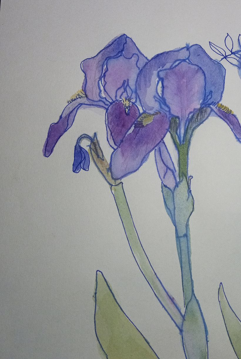Bright flowers