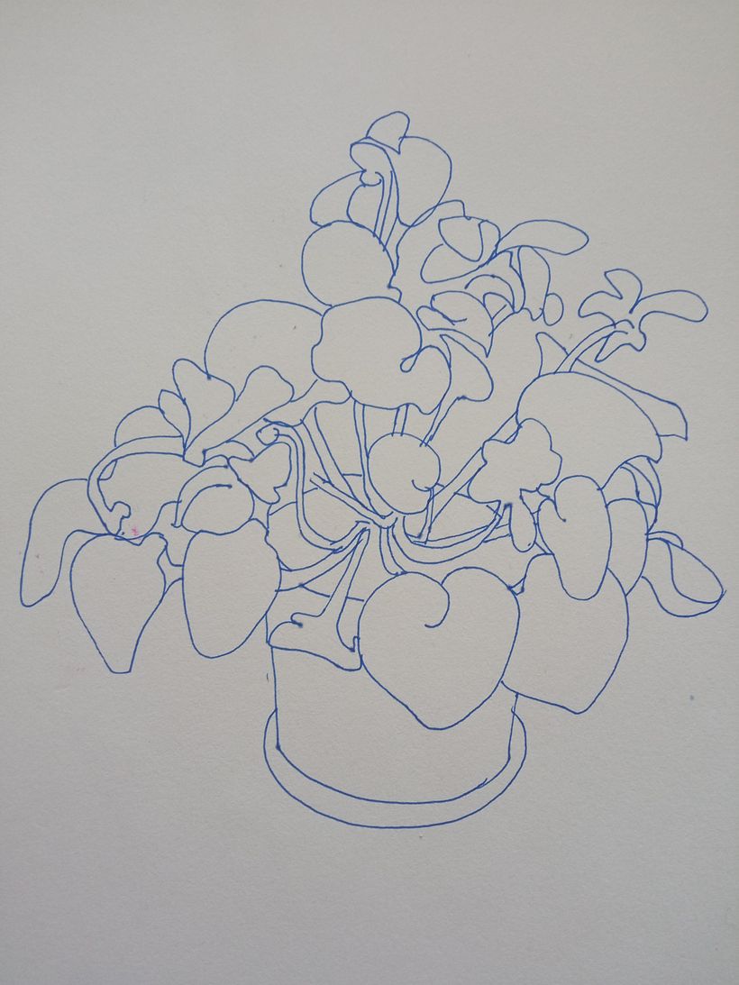 Lines