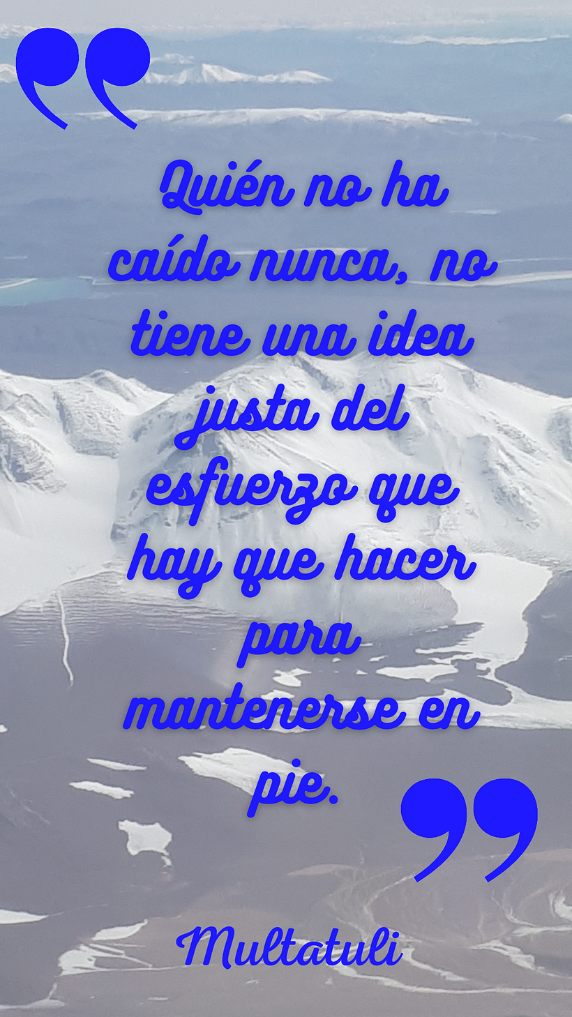 Mi Proyecto del curso: Estrategia de marca en Instagram 3