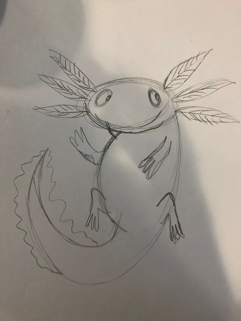 Axolotl sketch. Not the best at sketching as you can see.