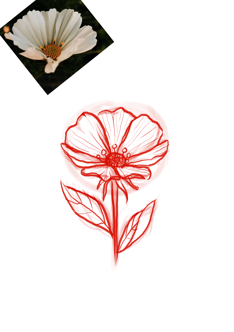 Mi Proyecto del curso: Diseño de tatuajes botánicos con Procreate 5