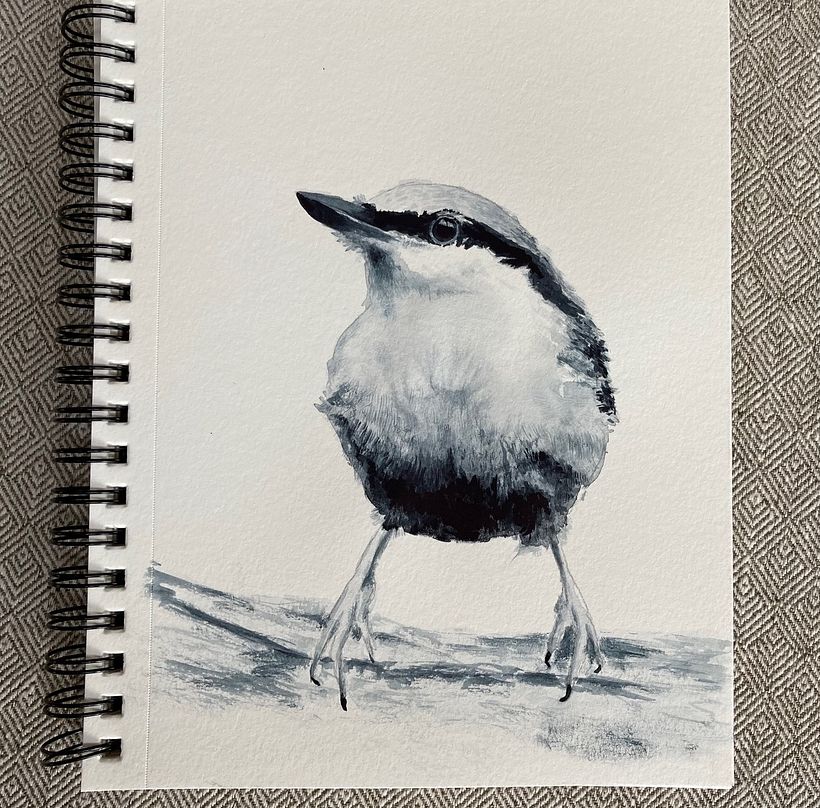 My project for course: Artistic Watercolor Techniques for Illustrating Birds 2