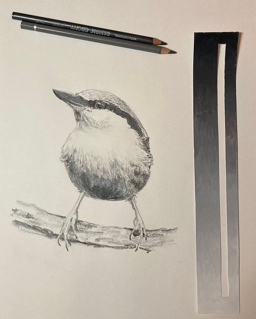 My project for course: Artistic Watercolor Techniques for Illustrating Birds 3