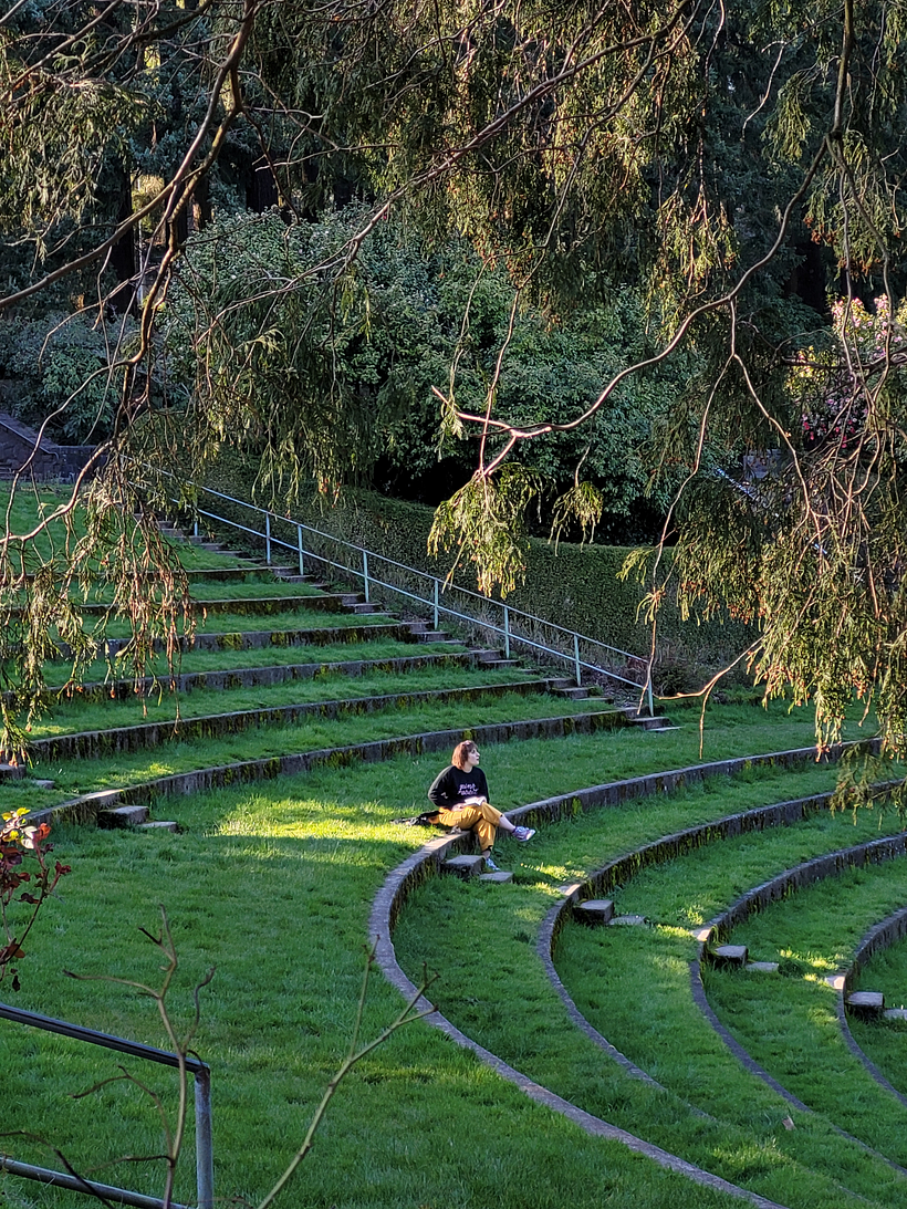 (Seattle, 2022) A woman in yellow pants sits on a grassy amphitheater, framed by tree branches and warm sunlight.