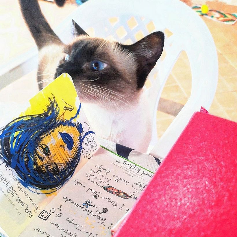 MarArtesOficial - Humm... Vamos ver o que temos por aqui...