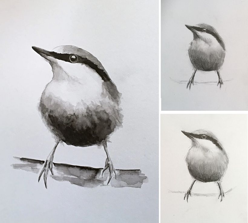My project for course: Artistic Watercolor Techniques for Illustrating Birds 2