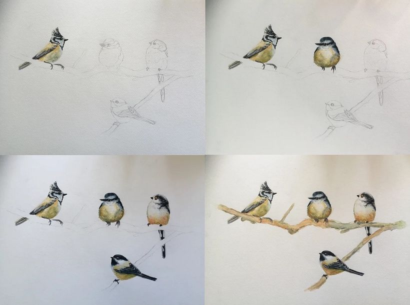 My project for course: Artistic Watercolor Techniques for Illustrating Birds 3