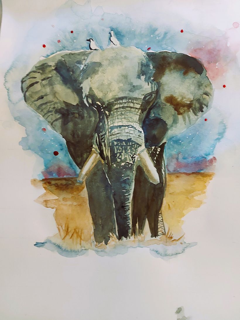 Elephant