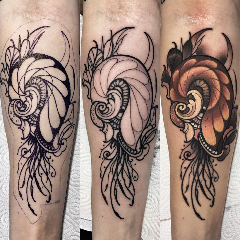 Golden seashell process  1