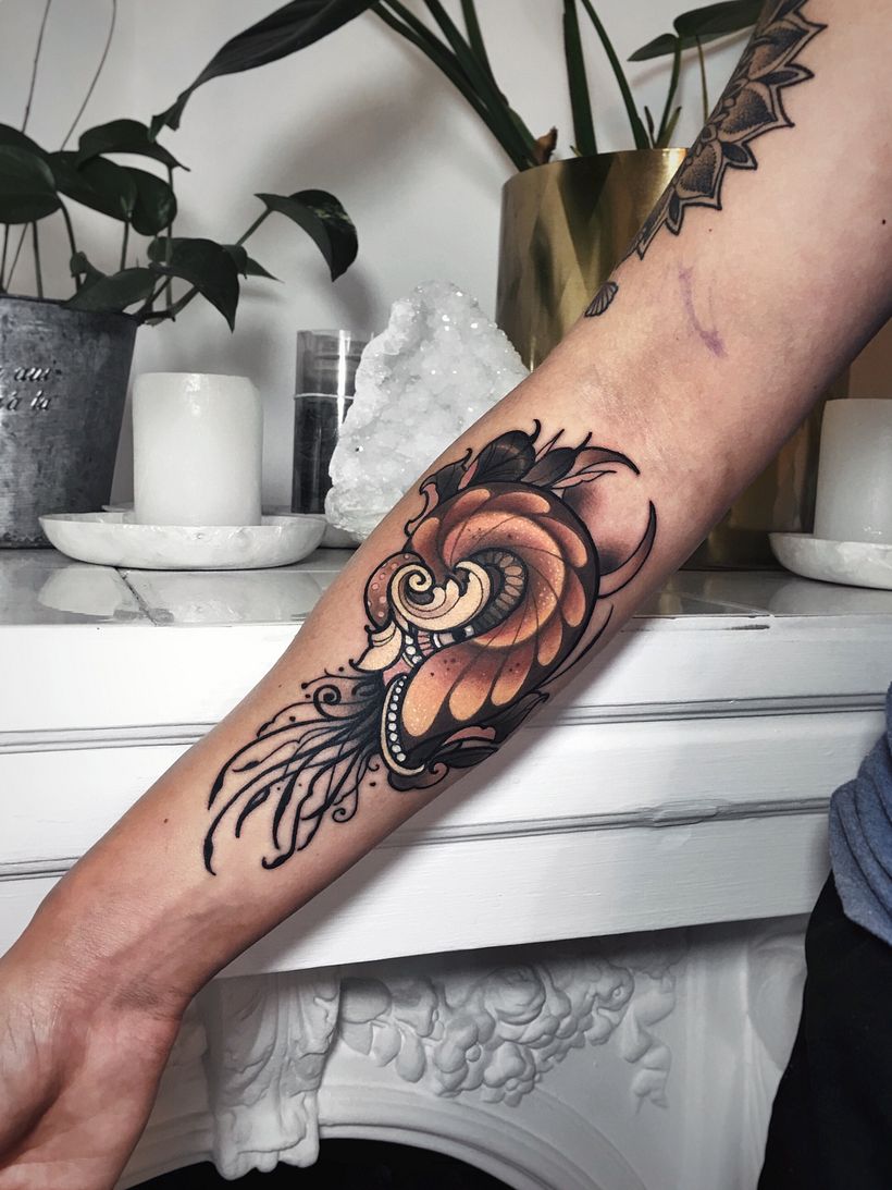 Golden seashell process  2