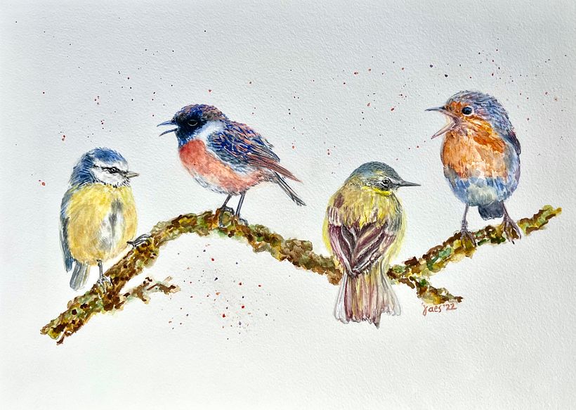 "A Feathery Chorus!" Original Watercolor; 11 x 14, 2022 - Photographs courtesy of Rob van Mourick