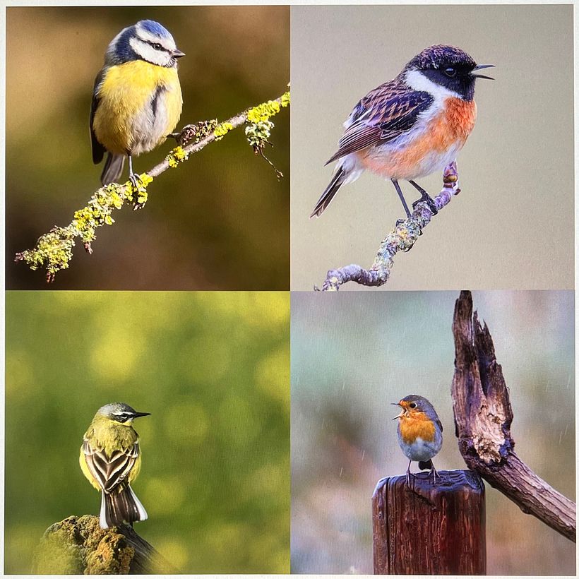 Original Photographs courtesy Rob van Mourick