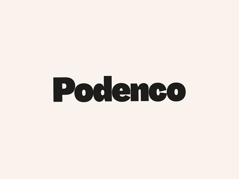 Podenco. Regisseur van gemengde media 3
