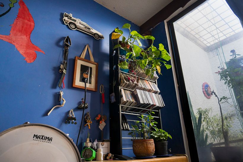 Agregué, además de plantas, elementos decorativos que siento que me apasionan como lo son las películas de Volver al Futuro.