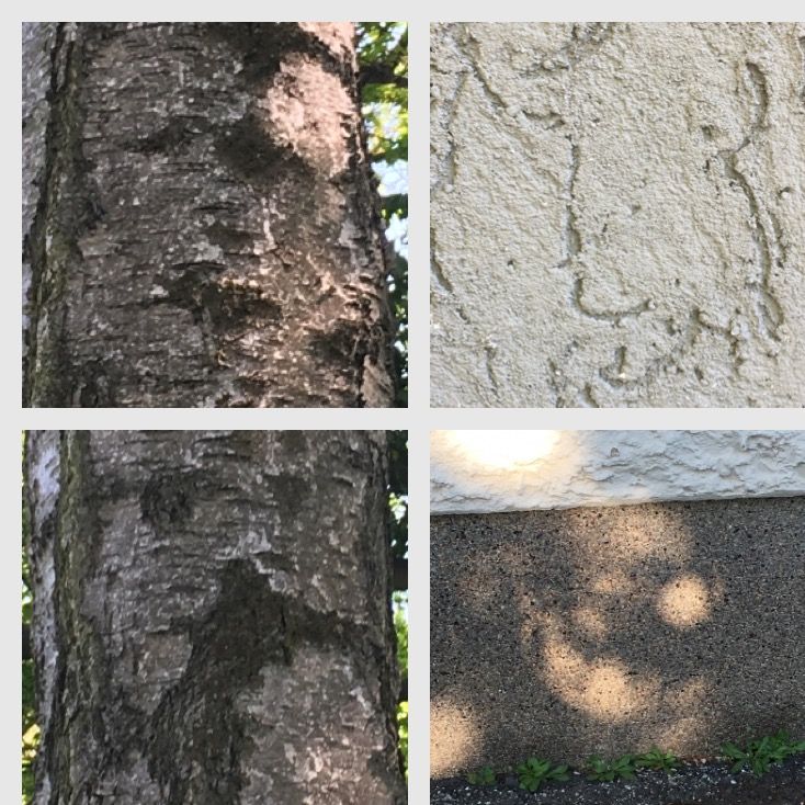 Versteckte Gesichter  1