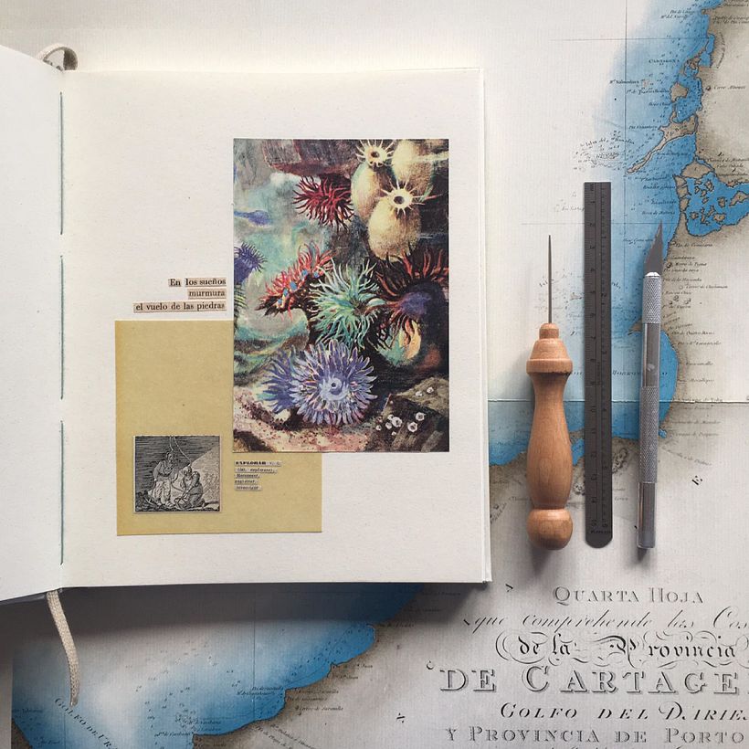 Edición bitácoras de viaje en colaboración con Historia Apié 8