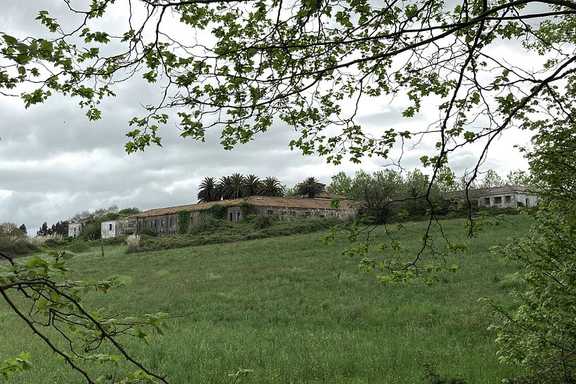 La Remonta 3