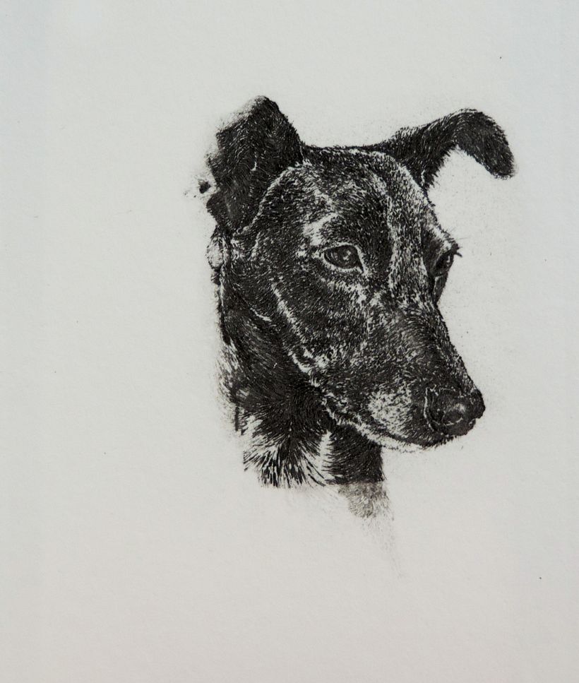 Almendra. Libro de Artista  6