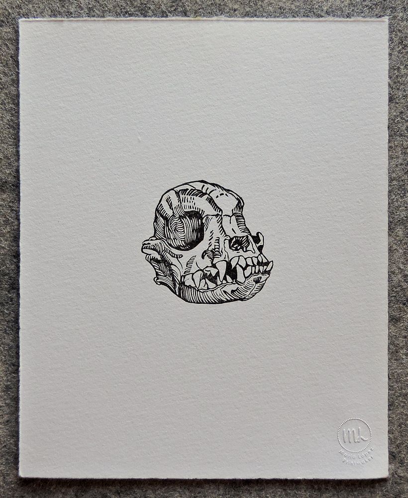 Serie Cráneos. Sellos 5