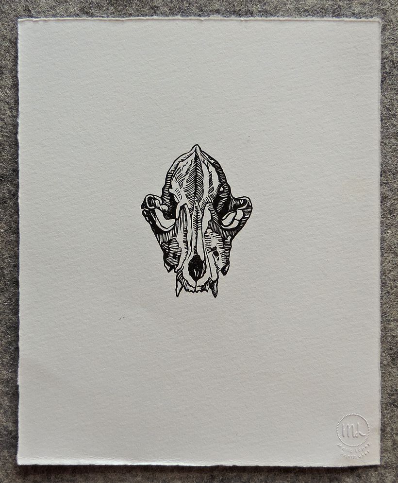 Serie Cráneos. Sellos 3