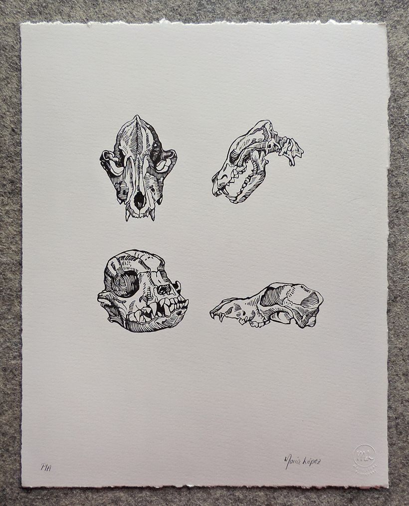 Serie Cráneos. Sellos 2