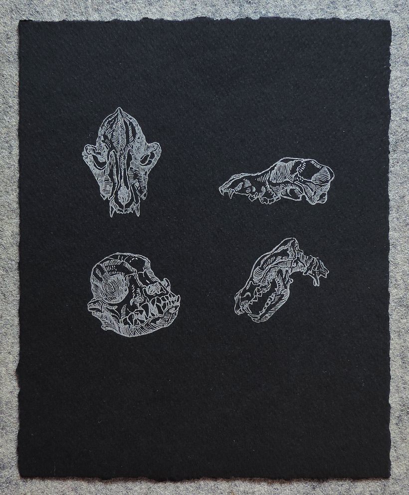 Variación con tinta plata sobre papel negro