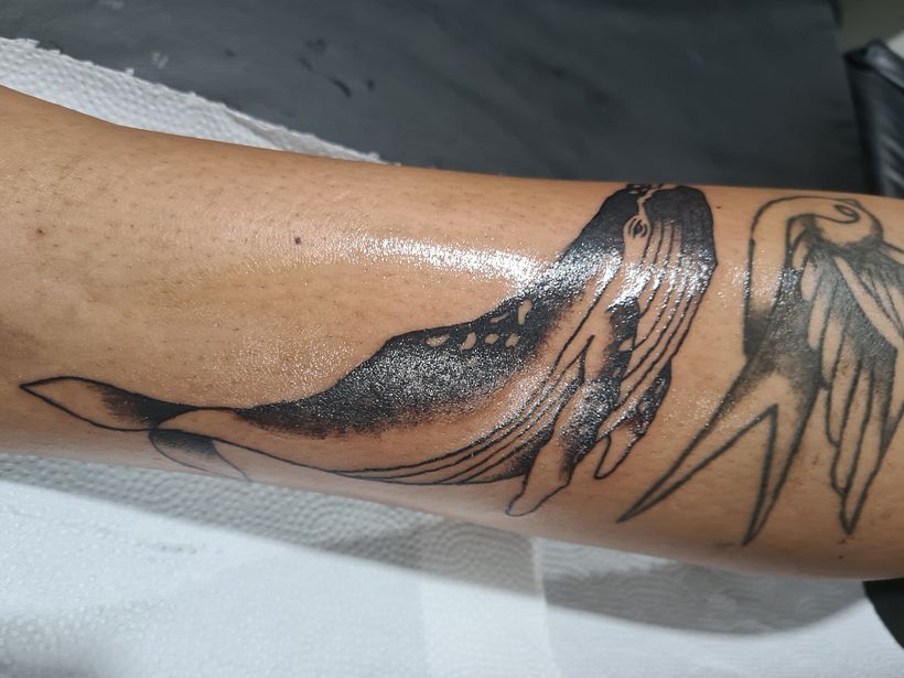 Meu projeto do curso: Tatuagem para principiantes 3