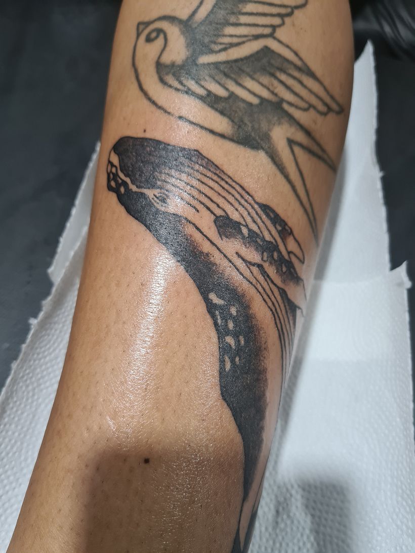 Meu projeto do curso: Tatuagem para principiantes 4