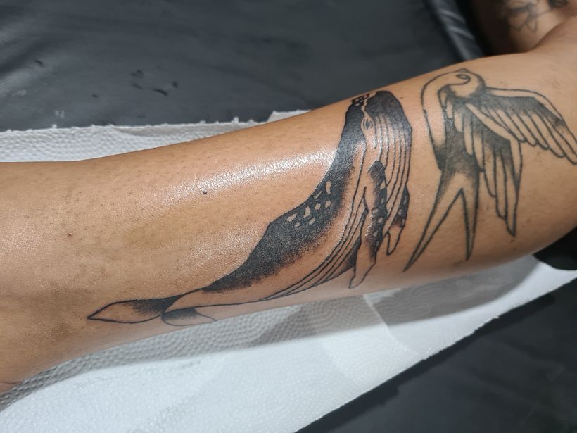 Meu projeto do curso: Tatuagem para principiantes 5