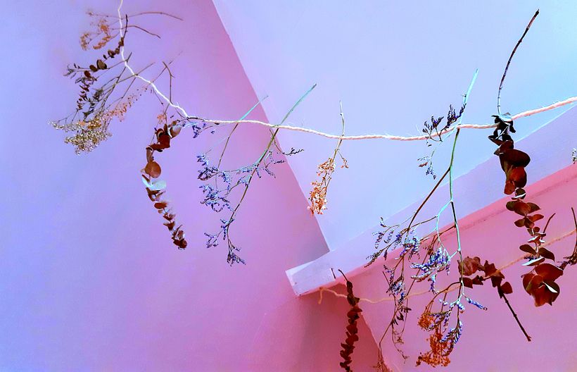 The idea here is to showcase the power of lighting with repurposed dried flowers.